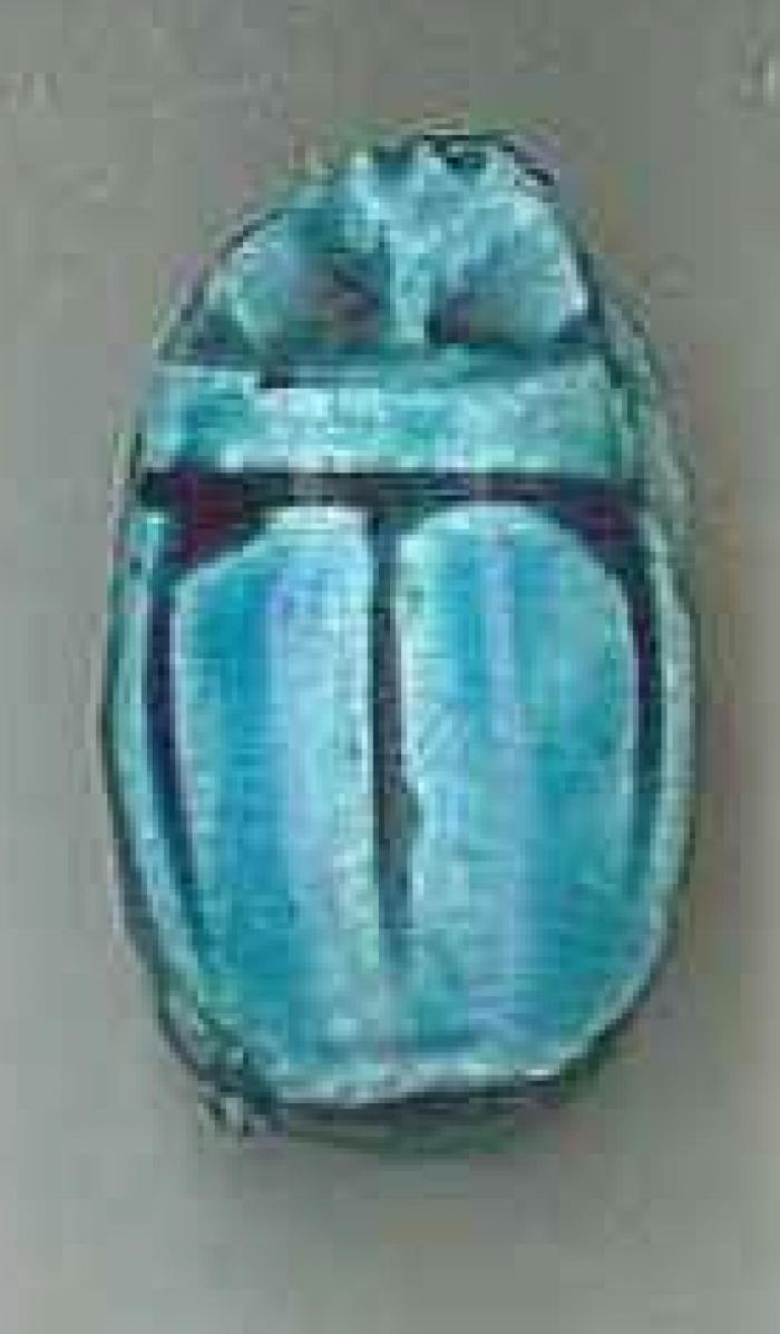 escarabat turquesa